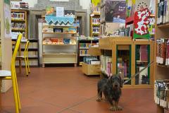 IMG-20250318-WA0033