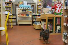 IMG-20250318-WA0034
