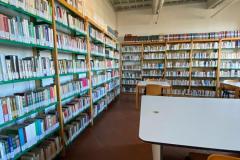 IMG-20250318-WA0004