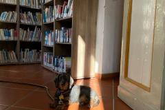 IMG-20250318-WA0016