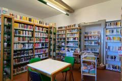 IMG-20250318-WA0020