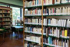 IMG-20250318-WA0026