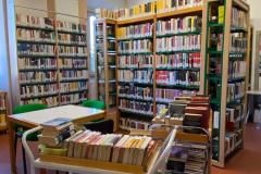 IMG-20250318-WA0029