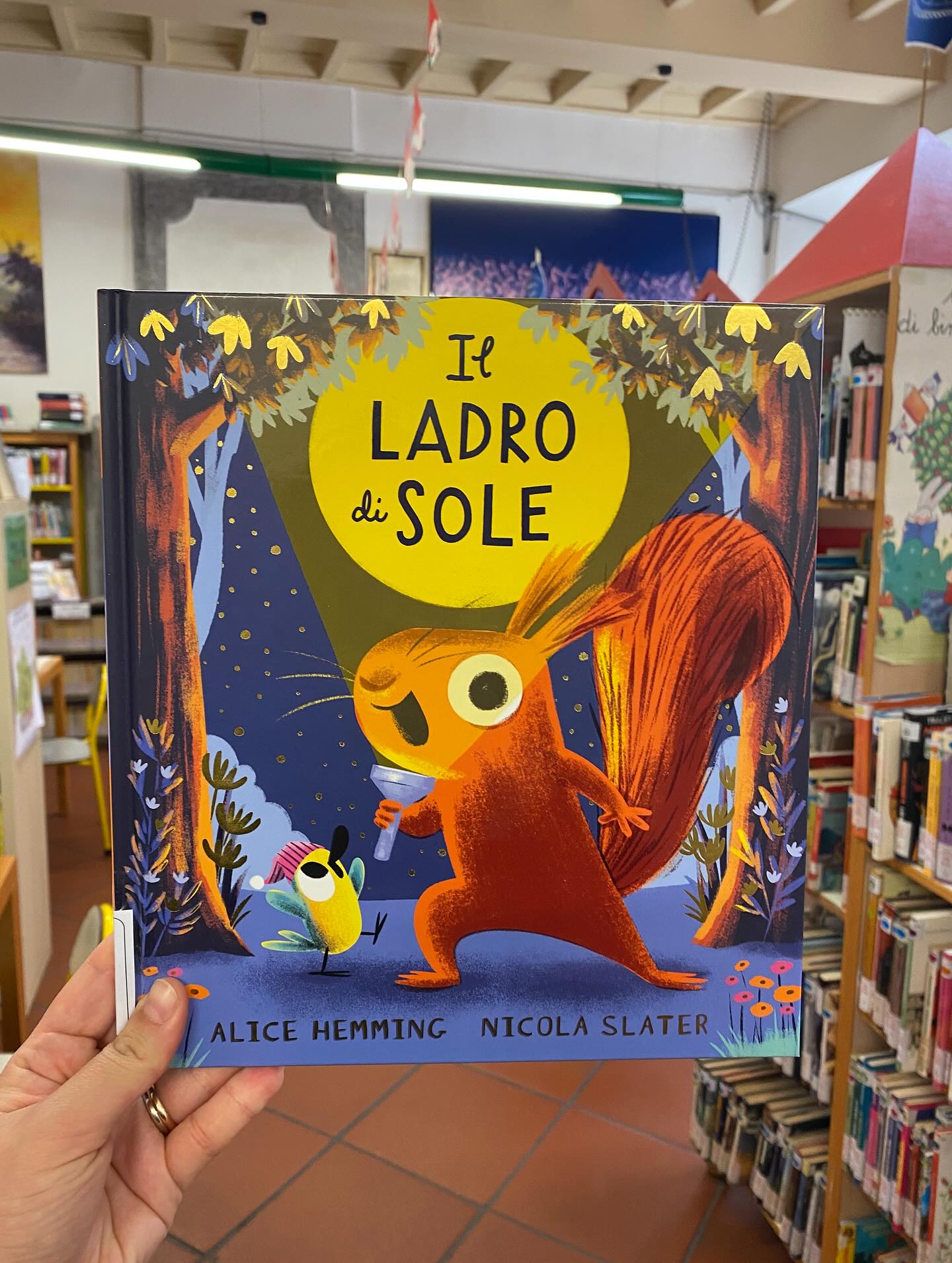 “Il ladro di sole” di Alice Hemming