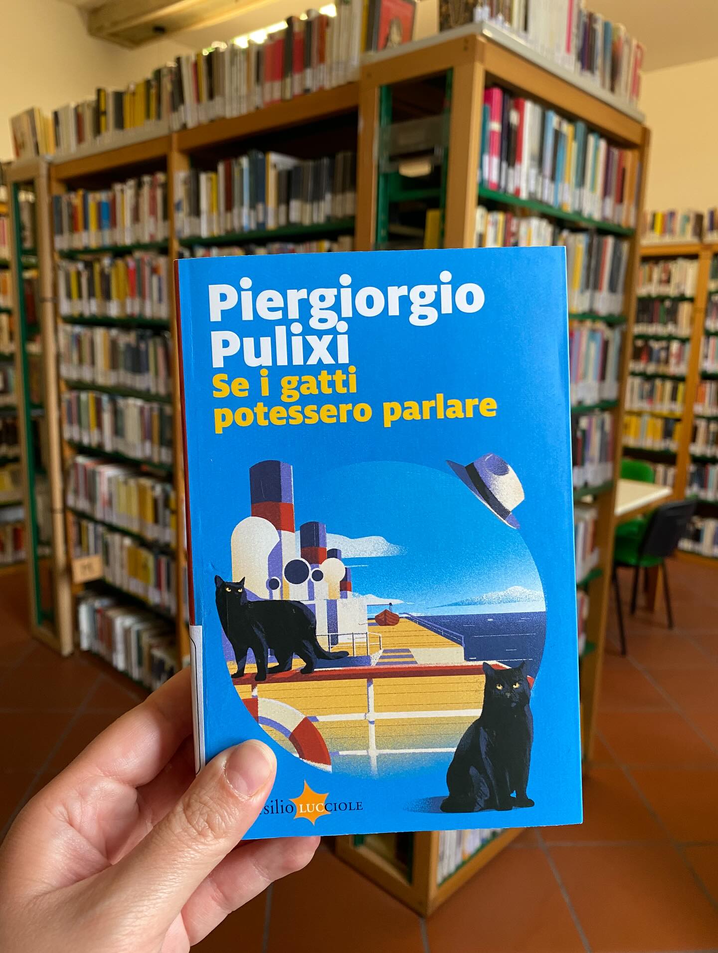 “Se i gatti potessero parlare” di Piergiorgio Pulixi