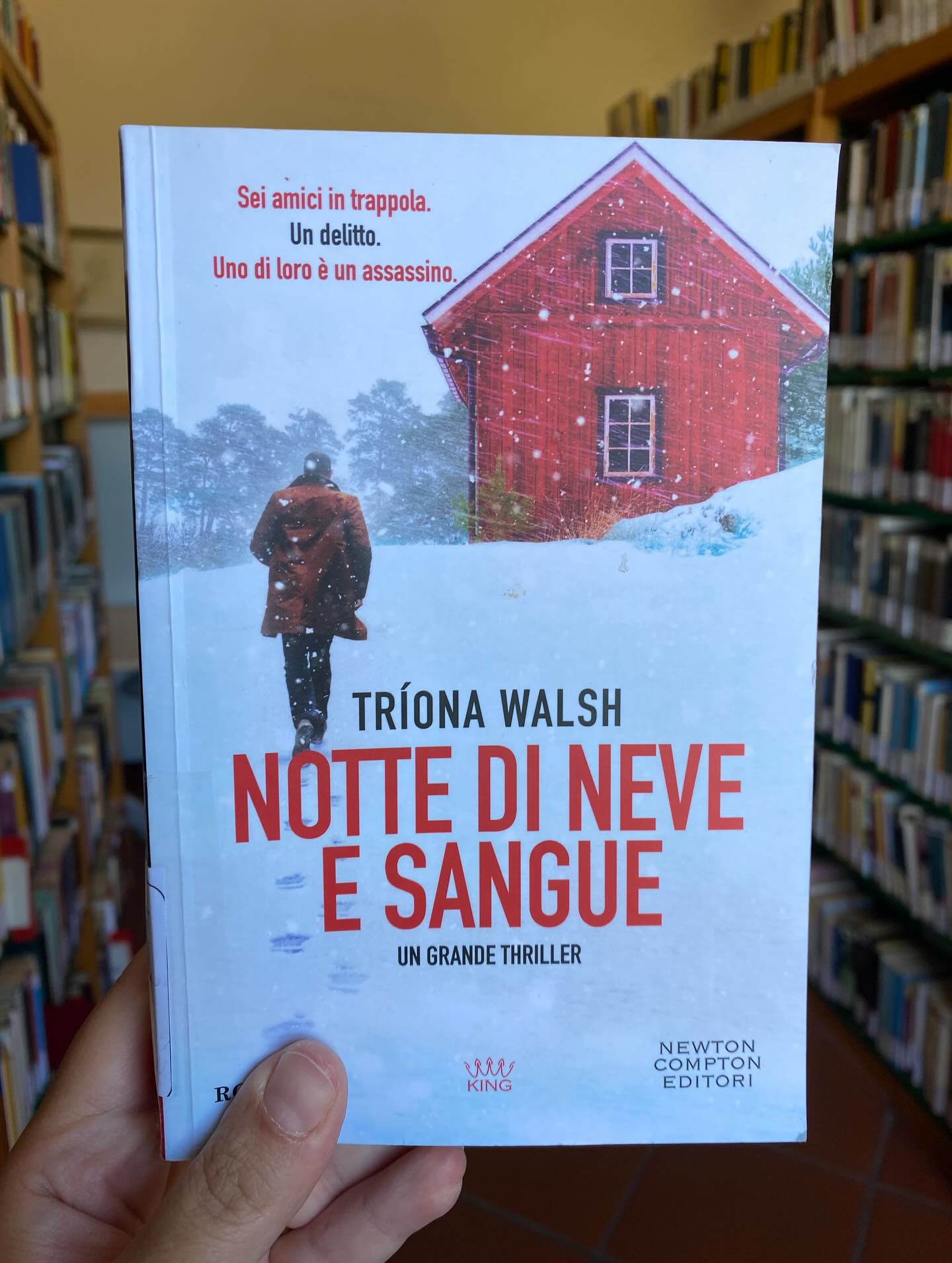 ” Notte di neve e sangue” di Triona Walsh
